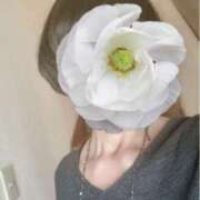 ヒメ日記 2025/08/23 09:55 投稿 白川ゆみ セカンドパートナー