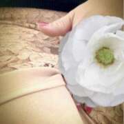 ヒメ日記 2025/08/25 09:45 投稿 白川ゆみ セカンドパートナー