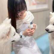 ヒメ日記 2025/11/08 19:11 投稿 すず ウルトラハピネス