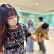 ヒメ日記 2025/12/29 10:49 投稿 すず ウルトラハピネス