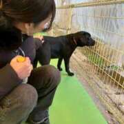 ヒメ日記 2026/01/30 15:20 投稿 すず ウルトラハピネス