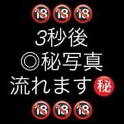 ヒメ日記 2025/07/18 18:42 投稿 もこ ジャパンクラブ富士