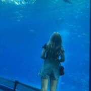 ヒメ日記 2025/09/27 11:01 投稿 みずきてぃ buzz-B