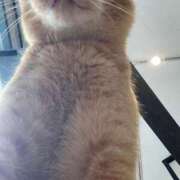 ヒメ日記 2026/02/12 21:42 投稿 立花 ねね HANA-okinawa-