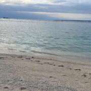 ヒメ日記 2026/02/21 15:33 投稿 立花 ねね HANA-okinawa-