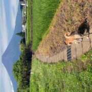 ヒメ日記 2026/08/11 12:33 投稿 立花 ねね HANA-okinawa-