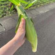 ヒメ日記 2026/08/12 16:53 投稿 立花 ねね HANA-okinawa-