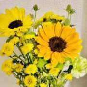 ヒメ日記 2025/07/13 13:03 投稿 生田 モアグループ大宮人妻花壇