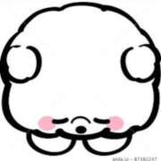 ヒメ日記 2025/07/15 12:30 投稿 ふう シルクハット