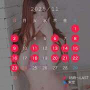 ヒメ日記 2025/11/15 12:04 投稿 ふう シルクハット