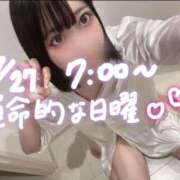 ヒメ日記 2025/07/27 20:02 投稿 つばさ 萌えカワ