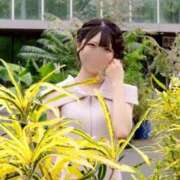 ヒメ日記 2025/07/30 06:02 投稿 つばさ 萌えカワ