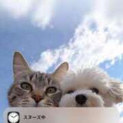 ヒメ日記 2025/08/07 06:02 投稿 つばさ 萌えカワ