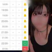 ヒメ日記 2025/08/07 21:43 投稿 つばさ 萌えカワ