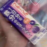 ヒメ日記 2025/10/04 04:22 投稿 つばさ 萌えカワ