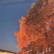 ヒメ日記 2025/11/19 20:36 投稿 渚(なぎさ) 可憐な妻たち 太田店