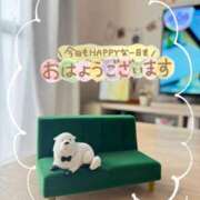 ヒメ日記 2025/12/11 08:15 投稿 渚(なぎさ) 可憐な妻たち 太田店