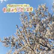 渚(なぎさ) お久しぶりです✨ 可憐な妻たち 太田店