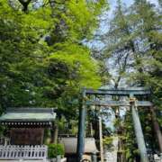 ヒメ日記 2026/04/26 09:00 投稿 渚(なぎさ) 可憐な妻たち 太田店