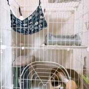 ヒメ日記 2025/10/22 14:19 投稿 りょう 横浜痴女性感フェチ倶楽部