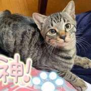 ヒメ日記 2025/10/31 12:29 投稿 りょう 横浜痴女性感フェチ倶楽部