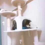 ヒメ日記 2025/11/16 12:29 投稿 りょう 横浜痴女性感フェチ倶楽部