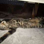 ヒメ日記 2025/12/09 11:29 投稿 りょう 横浜痴女性感フェチ倶楽部