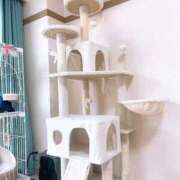 ヒメ日記 2025/12/16 12:10 投稿 りょう 横浜痴女性感フェチ倶楽部