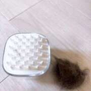 ヒメ日記 2025/12/19 07:33 投稿 りょう 横浜痴女性感フェチ倶楽部