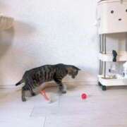 ヒメ日記 2026/01/25 15:39 投稿 りょう 横浜痴女性感フェチ倶楽部