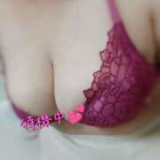 ヒメ日記 2025/07/30 23:07 投稿 よる ぷよラブ