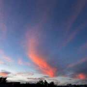 ヒメ日記 2025/07/23 18:56 投稿 くれあ あとりえ(ATELIER)