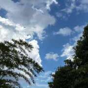 ヒメ日記 2025/09/11 13:59 投稿 くれあ あとりえ(ATELIER)