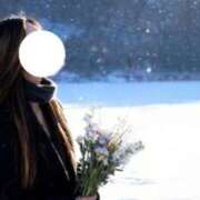 ヒメ日記 2026/02/08 14:14 投稿 くれあ あとりえ(ATELIER)