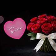 ヒメ日記 2026/02/18 20:47 投稿 くれあ あとりえ(ATELIER)