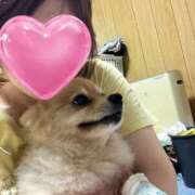 杏奈-あんな- わんわん🩷 人妻倶楽部 花椿大崎店