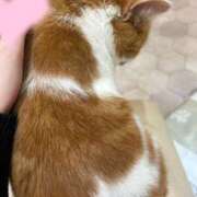 ヒメ日記 2025/07/24 21:07 投稿 まどか★キス中毒！超絶敏感JD Chloe鶯谷・上野店 S級素人清楚系デリヘル