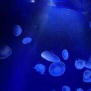 ヒメ日記 2025/08/18 23:27 投稿 まどか★キス中毒！超絶敏感JD Chloe鶯谷・上野店 S級素人清楚系デリヘル