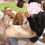 ヒメ日記 2025/10/12 12:09 投稿 まどか★キス中毒！超絶敏感JD Chloe鶯谷・上野店 S級素人清楚系デリヘル