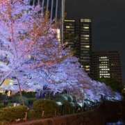 ヒメ日記 2026/04/23 08:19 投稿 まどか★キス中毒！超絶敏感JD Chloe鶯谷・上野店 S級素人清楚系デリヘル