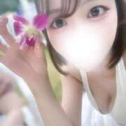 ヒメ日記 2025/08/01 13:33 投稿 こと★純白巨乳のキス好き美少女 渋谷S級素人清楚系デリヘル chloe