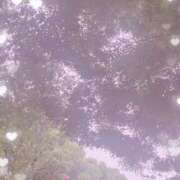 ヒメ日記 2025/08/19 08:01 投稿 さとみ Versailles