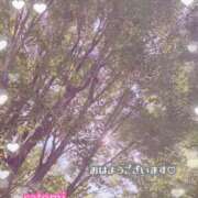 ヒメ日記 2025/08/28 07:21 投稿 さとみ Versailles