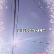 ヒメ日記 2025/10/31 09:02 投稿 さとみ Versailles