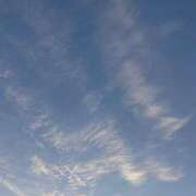 ヒメ日記 2025/12/13 08:16 投稿 さとみ Versailles