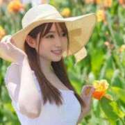 ヒメ日記 2026/04/20 17:01 投稿 七沢ゆあ 東京LOVE基地