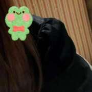 ヒメ日記 2025/10/14 19:09 投稿 すみれ One More奥様　立川店