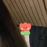 すみれ 出勤しました One More奥様　立川店