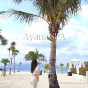 ヒメ日記 2025/11/28 15:34 投稿 あやな ごほうびSPA京都店