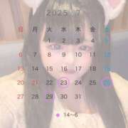 ヒメ日記 2025/07/20 04:00 投稿 ふわり 新宿サンキュー